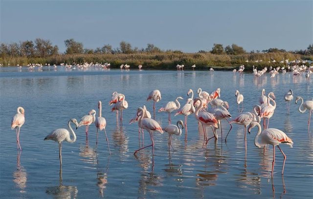 5 arsyet përse Veriu i Shqipërisë është destinacioni i ardhshëm elitar i Evropës